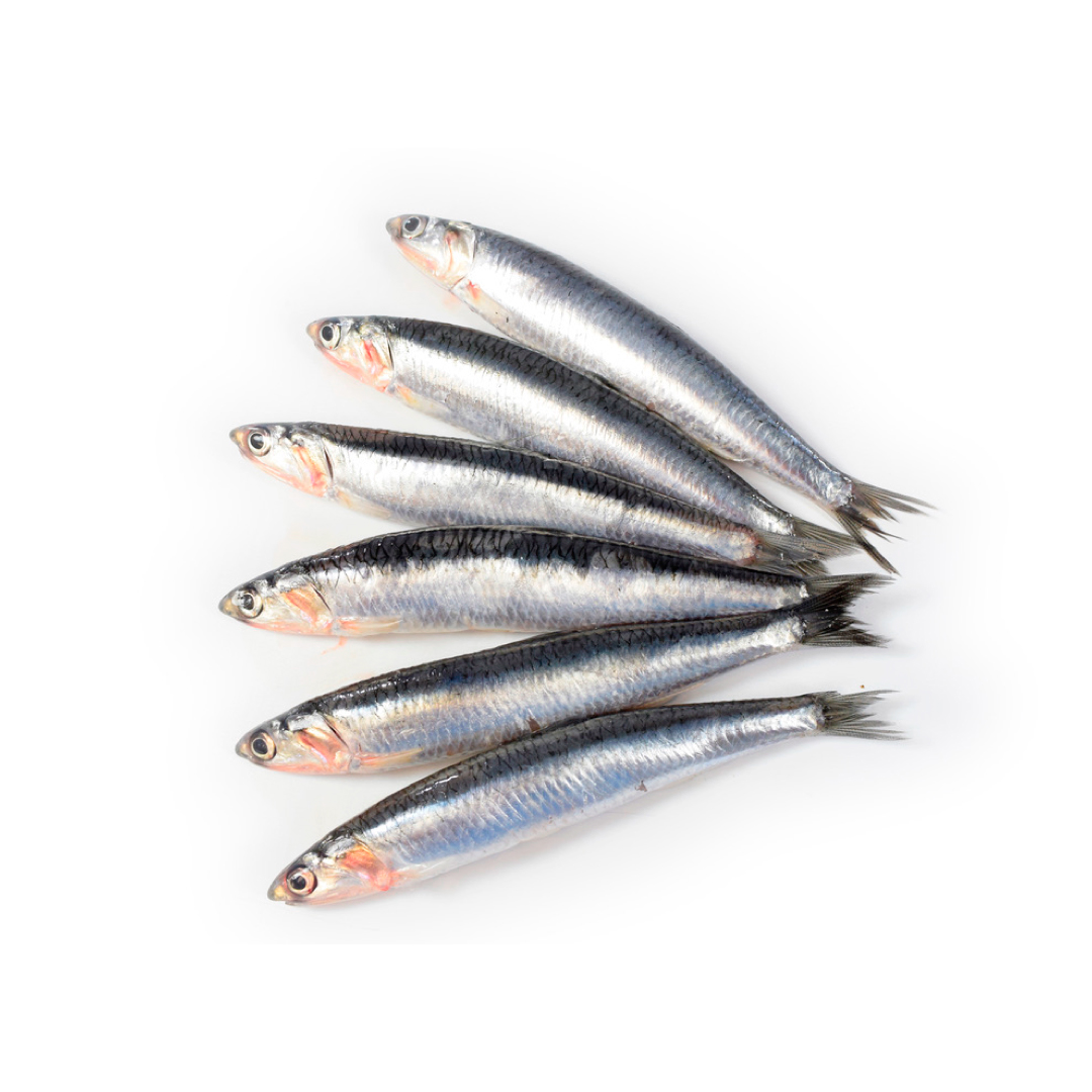 Boquerones frescos a domicilio y venta online