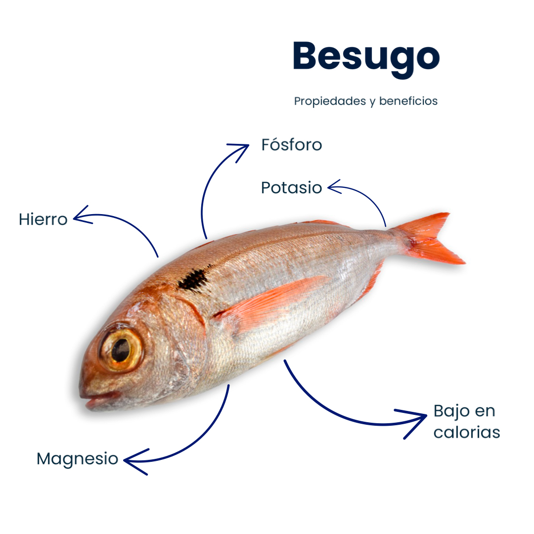 besugo propiedades-beneficios-pescaderias-a-domicilio