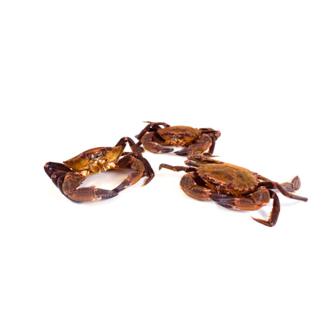 Nécoras frescas a domicilio y venta online