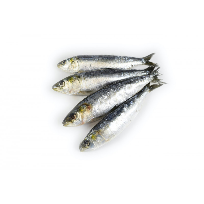 Imagen%20PNG 6BA712BA5658-1